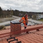 störande fiskmås sundsvall