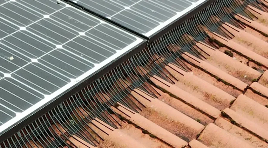 närbild på birdblockers av plast monterade på solceller