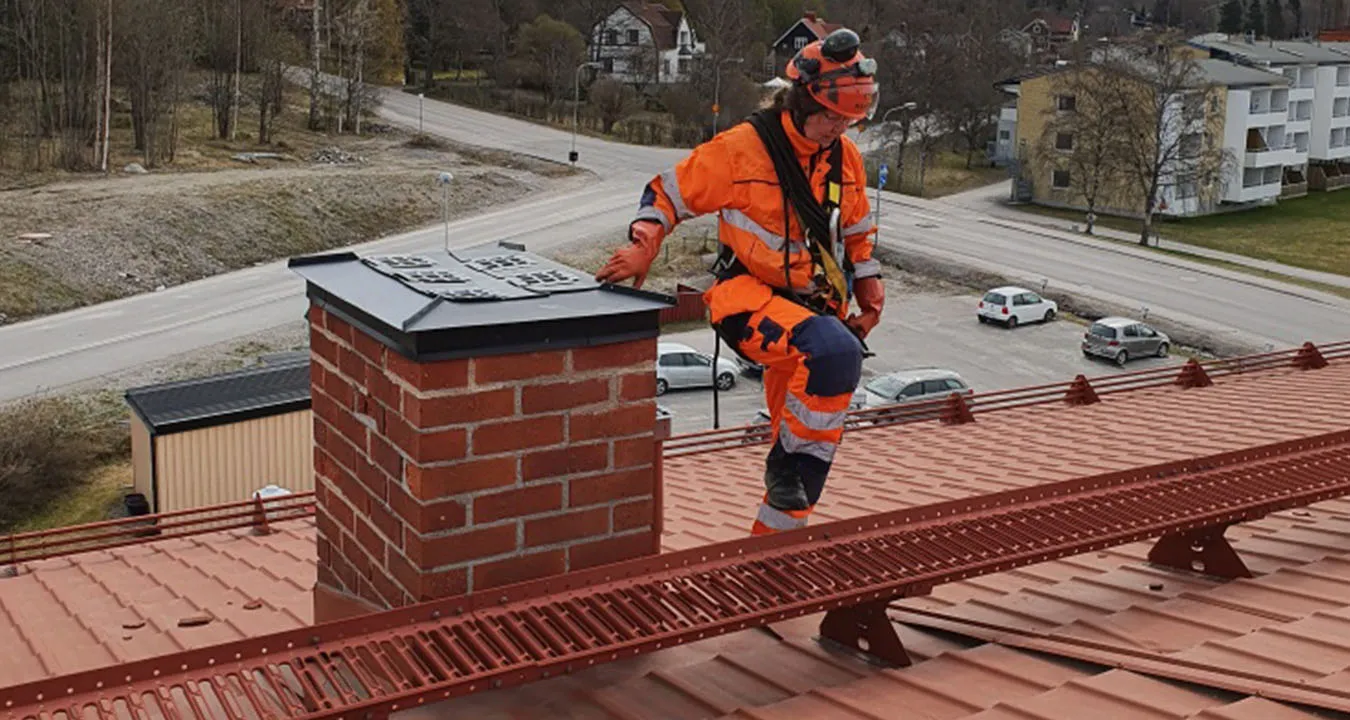 pågående måsrondering