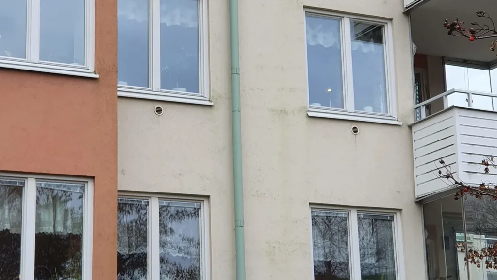 omslagsbild på fasad som drabbats av gröna alger